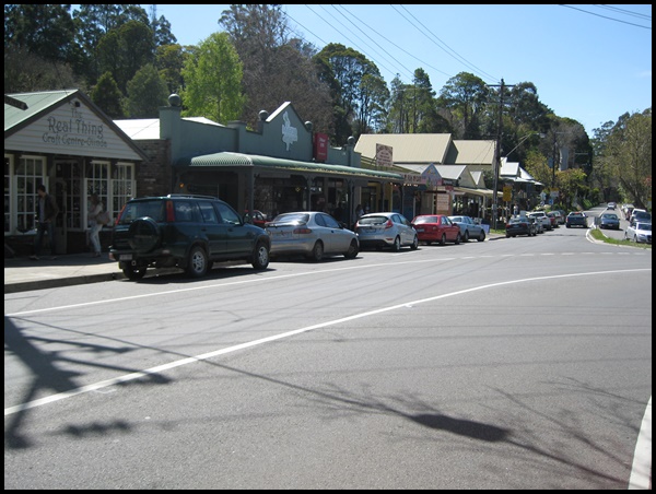 Roadtrip dans le Dandenong Ranges National Park Olinda