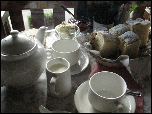 Sassafras Suite à cela, nous nous sommes dirigés vers Sassafras (environ 1000 habitants), pour profiter d'une tradition british bien ancrée par ici: Le Devonshire Tea, au Miss Marple's Tearoom.