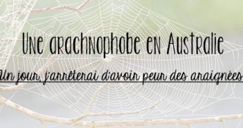 Arachnophobie et voyage