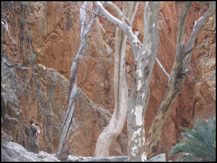 West MacDonnell Ranges, Alice Spring, Australie, Outback