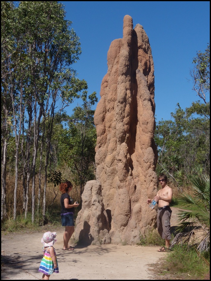 Litchfield National Park, Australie, termitières géantes