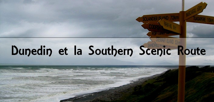 Nouvelle-Zélande : Southern Scenic Route