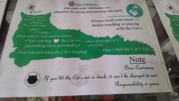règlements Cat Cafe Ubud