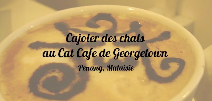 Cat Cafe, Georgetown, Penang, Malaisie