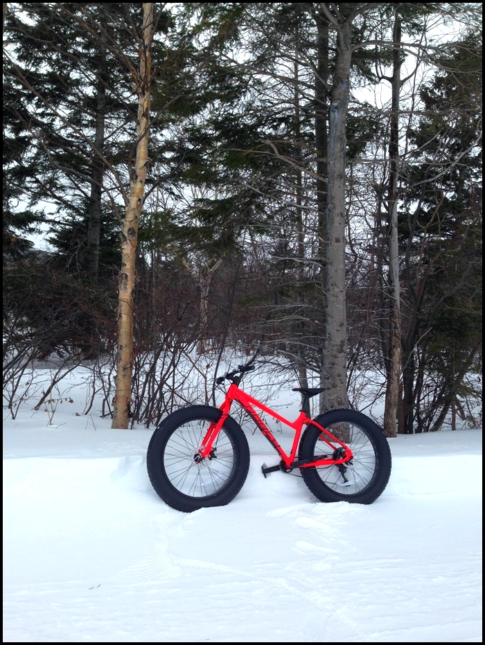 fat bike