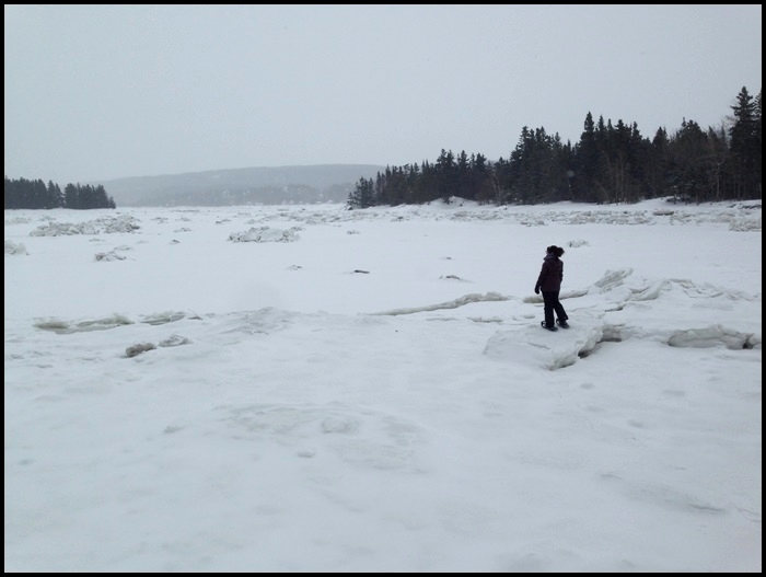 parc national du bic hiver