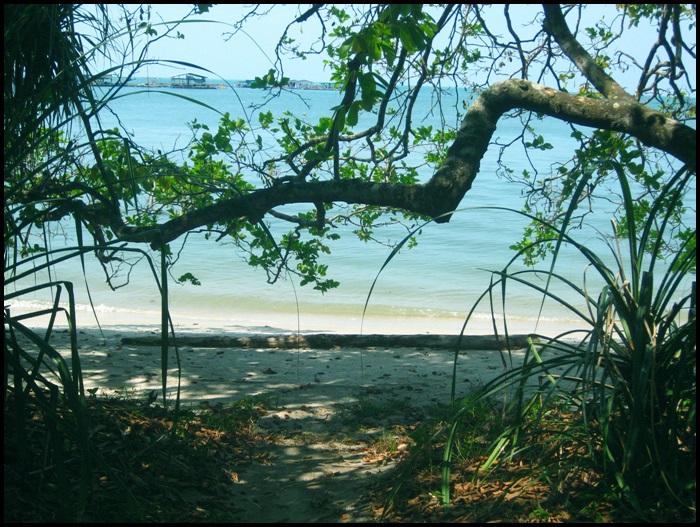 Parc national de Penang