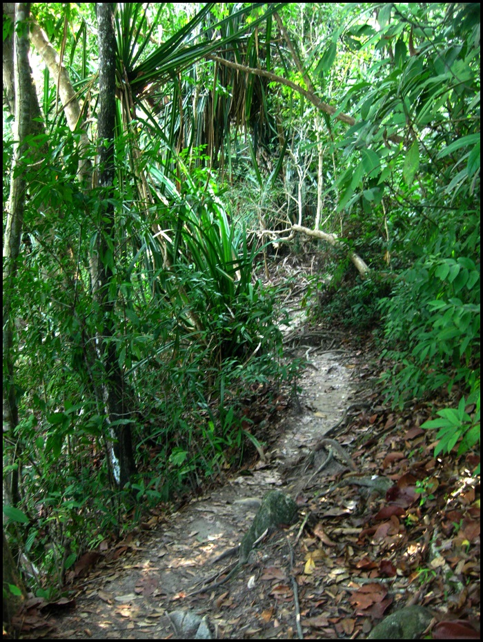 Parc national de Penang