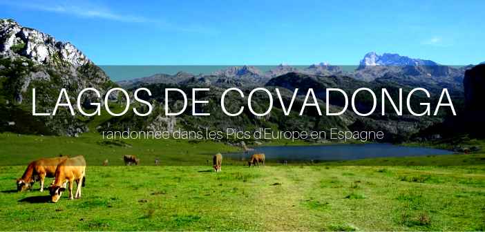 lacs de covadonga