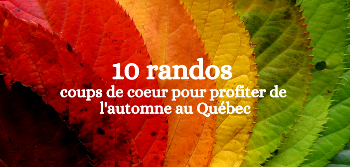 10 Randos Coups De Coeur Pour Profiter De L'automne Au Québec